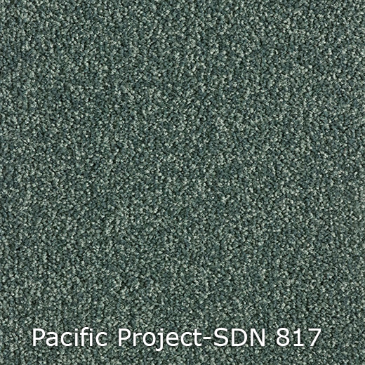 Tapijt - Interfloor Pacific Project-SDN 817