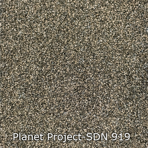 Tapijt - Interfloor Planet Project-SDN 919
