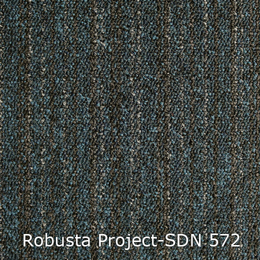 Tapijt - Interfloor Robusta Project-SDN 572