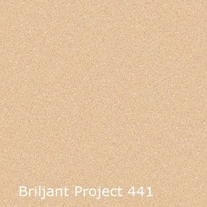 Briljant Project 441