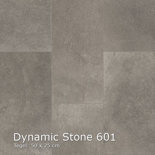 Dynamic Stone 601