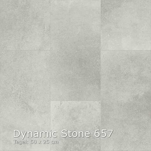 Dynamic Stone 657