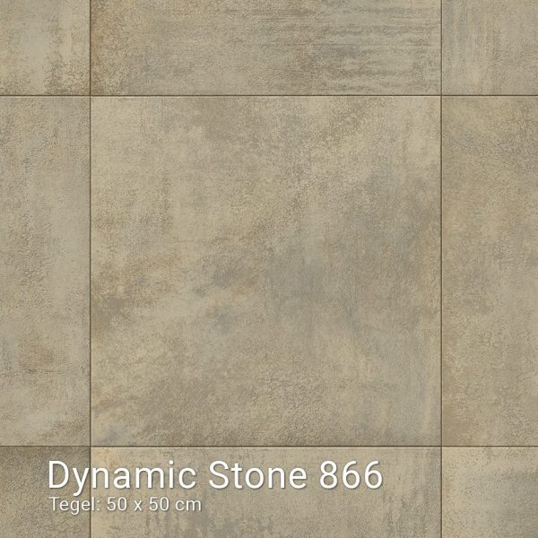 Dynamic Stone 866