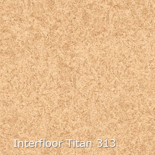 Titan 313